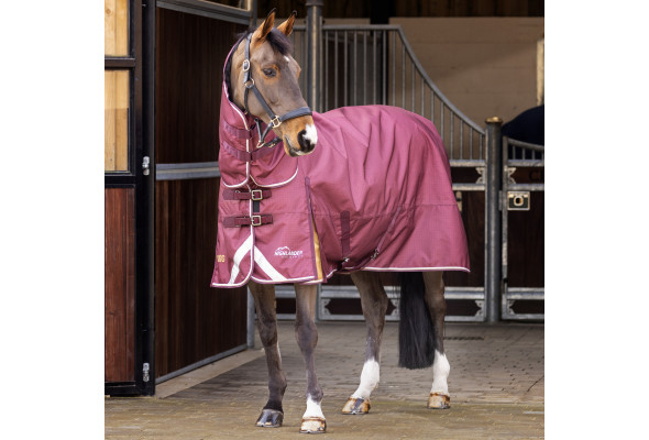 Shires Highlander Plus Combo 100g
