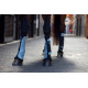 Shires ARMA Fly Turnout Socks