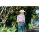 Wrangler Wmns Willow Jean34