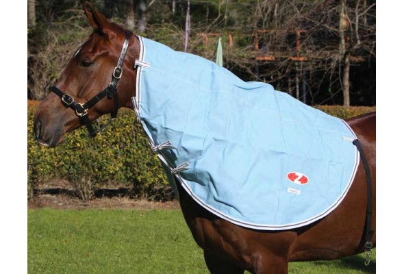 Zilco Hamilton Neck Rug
