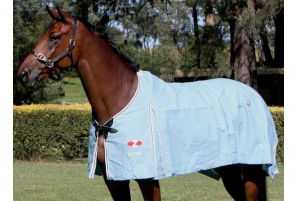 Zilco Hamilton Rug Only