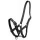 Zilco Foal Halter